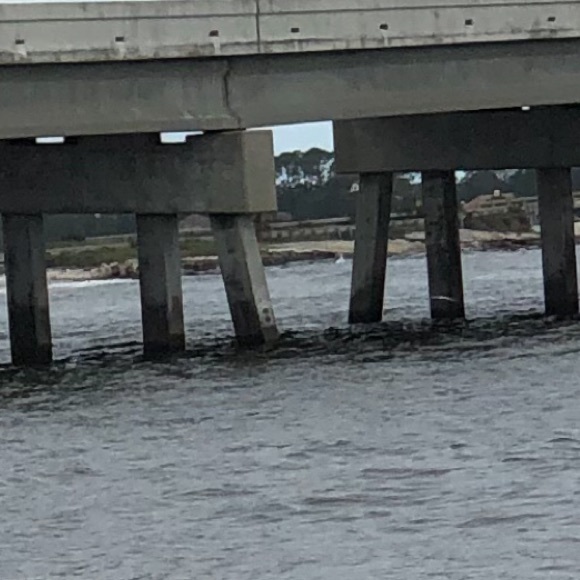 Meet your Posher, Robin - Picture 1 of 1